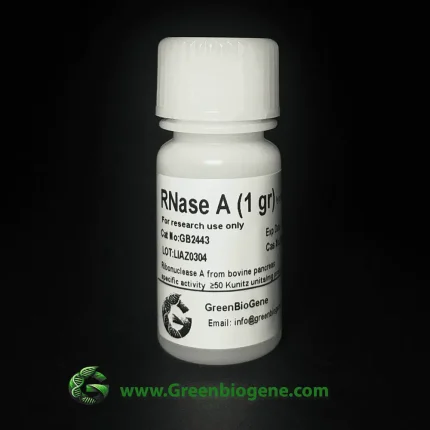 Rnase A