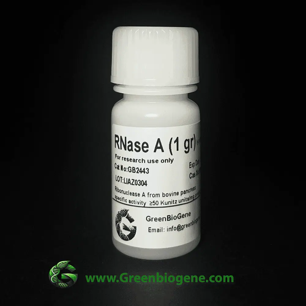Rnase-A-greenbiogene Rnase A