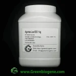 Agarose Powder