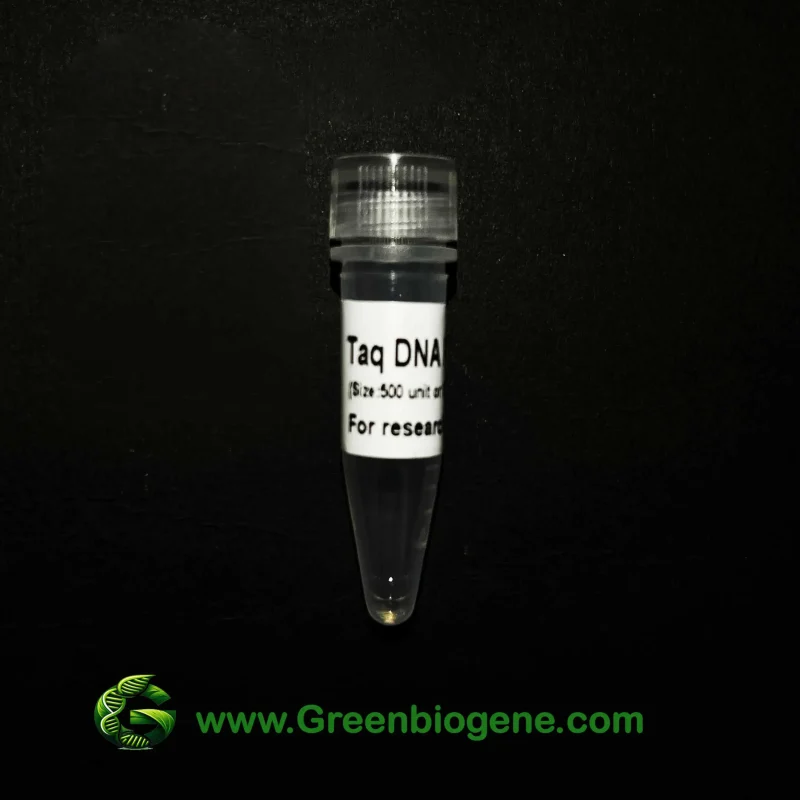 taq DNA Polymerase