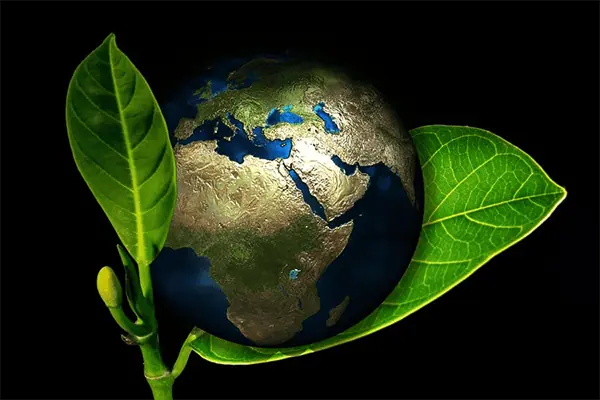 Bioremediation
