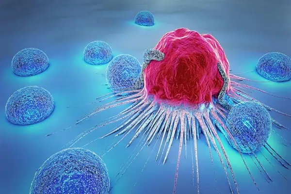 Cells Adhesion