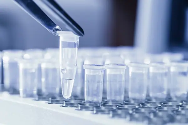 Troubleshooting PCR