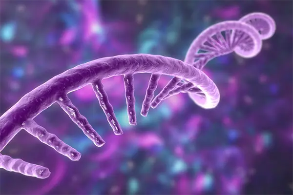 RNA EXTRACTION