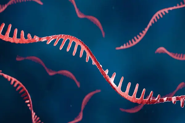 RNA-based Therapeutics