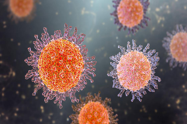 Viruses